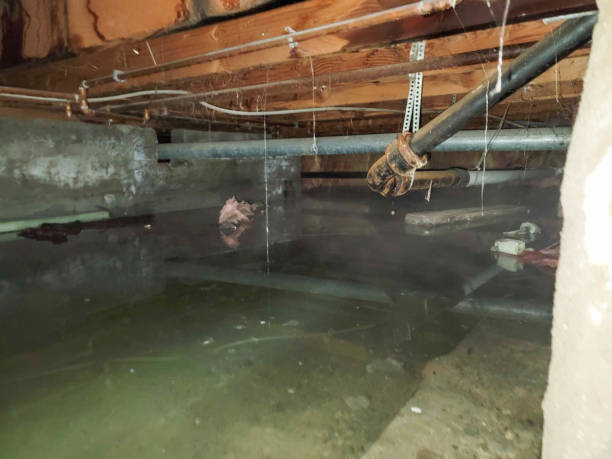 Best Emergency water damage restoration  in Thomaston, NY