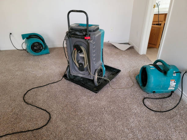 Best Local water damage restoration  in Thomaston, NY