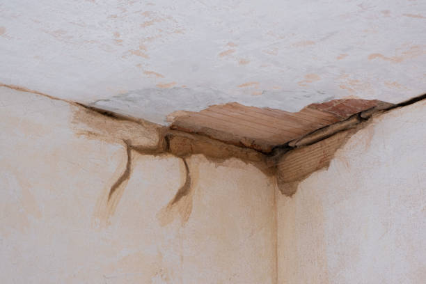 Best Water damage restoration near me  in Thomaston, NY