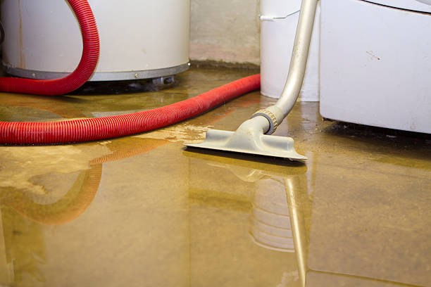 Best Basement water damage restoration  in Thomaston, NY