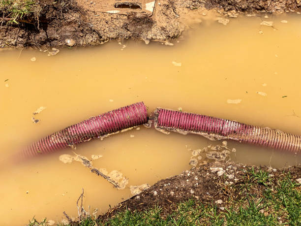 Best Flood restoration services  in Thomaston, NY