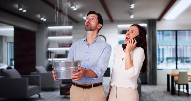 Best Flood damage cleanup  in Thomaston, NY
